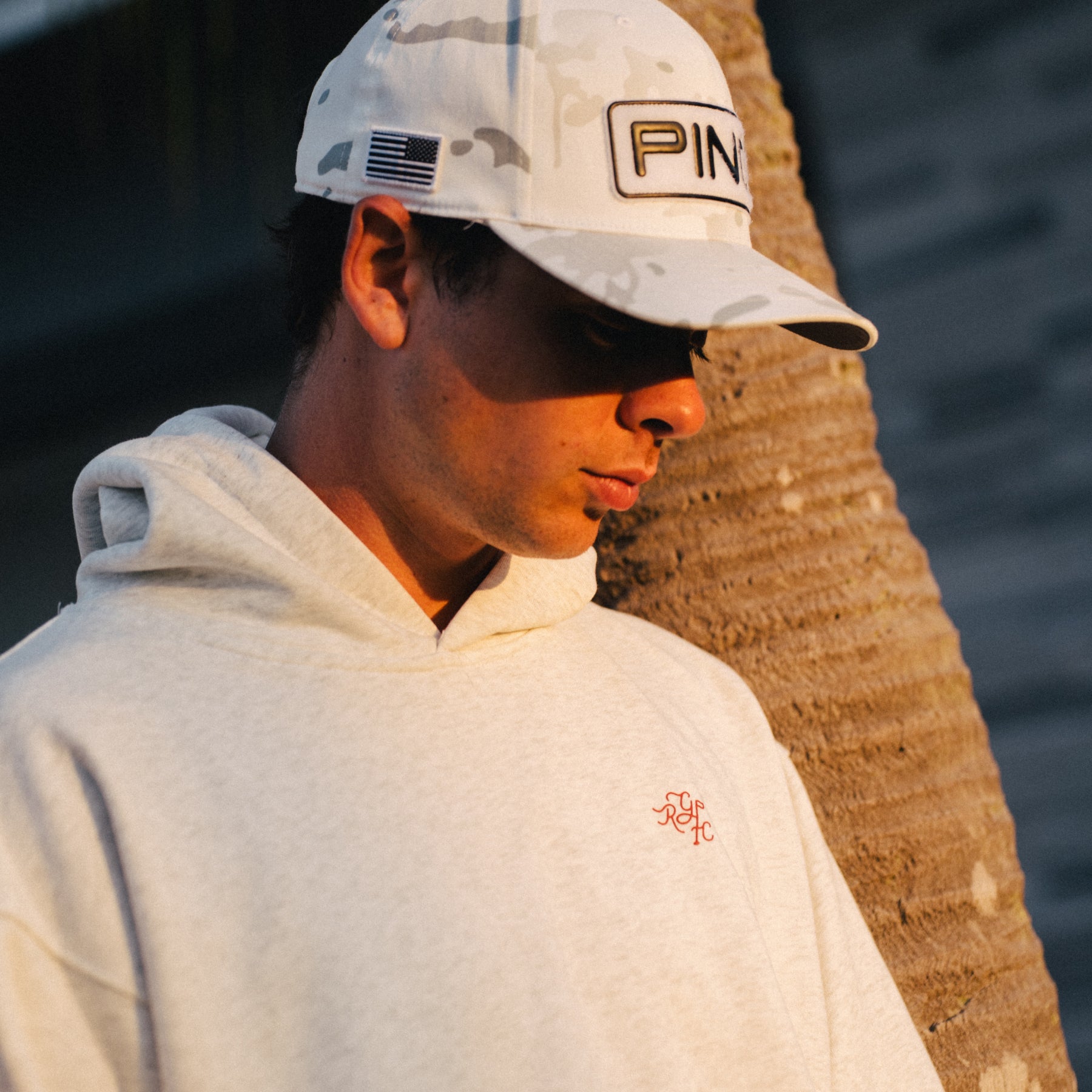 SFE Kapuzenpullover (Heather Grey)
