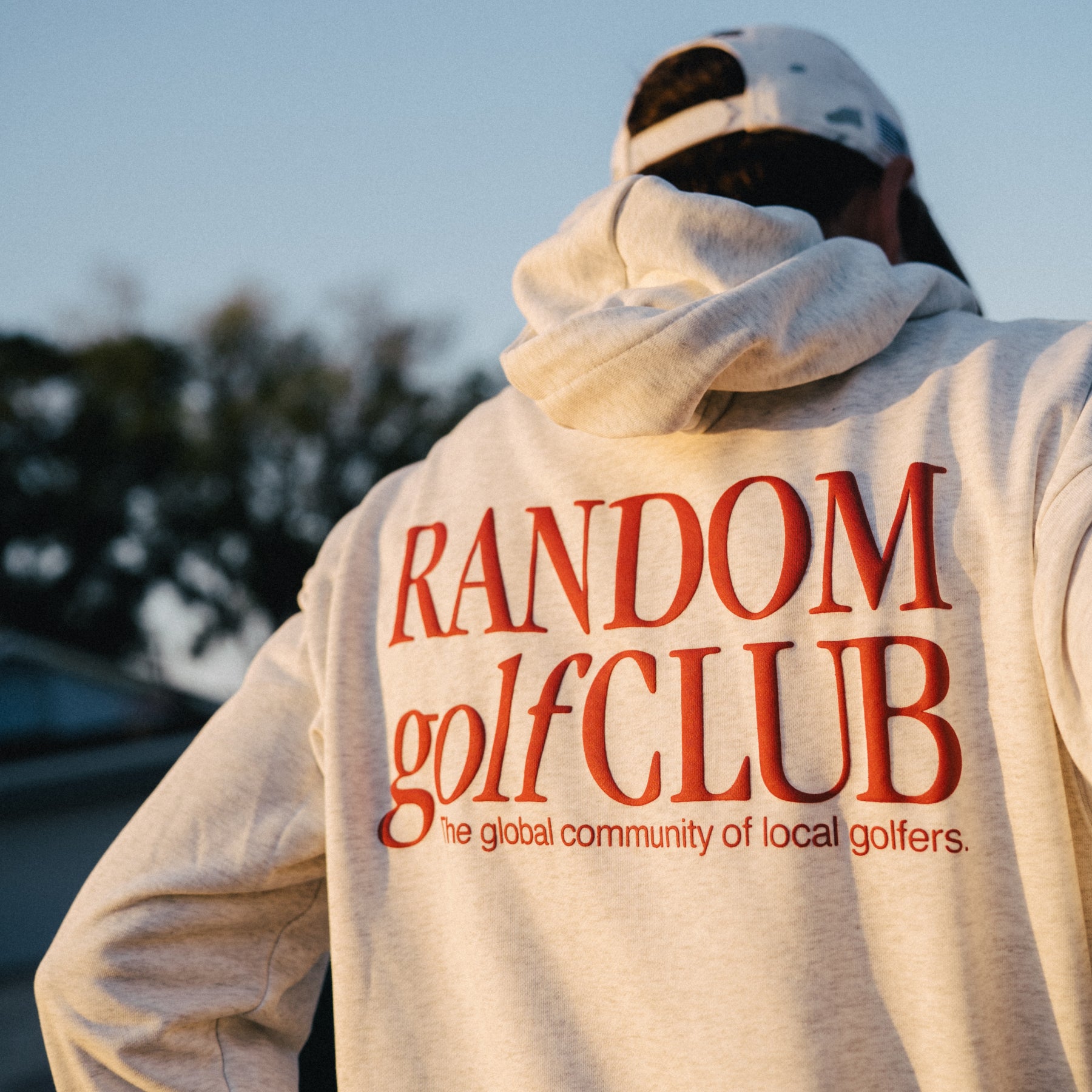 SFE Kapuzenpullover (Heather Grey)